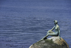 Girl in Wetsuit Statue ... P.i.P.  (© Buelipix)