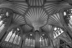 Chapter House of Wells Cathedral 1 (PiPs)