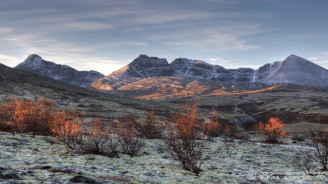 First light in Dørålen, Rondane mountains. - by Roar