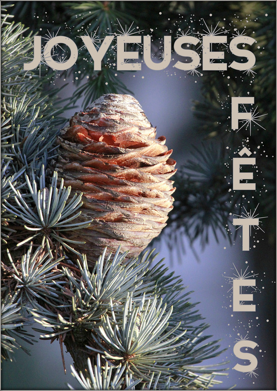 Joyeux Noël 46040088.a1c38b47.800