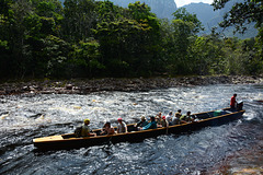 Venezuela, On the Way to the Angel Falls upstream of the ​​River of Churun