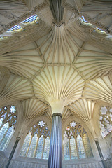Chapter House of Wells Cathedral 3