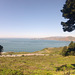 San Francisco Presidio View (0009)