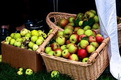 Baskets of Apples