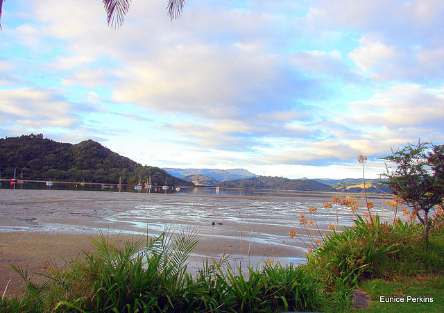 Low Tide At Whitianga