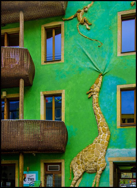 Das Giraffenhaus - Dresden