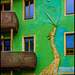 Das Giraffenhaus - Dresden