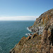 Cliffs On The Mull Of Galloway