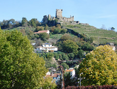 Hill with Chateau de la Batie in Vienne, October 2022