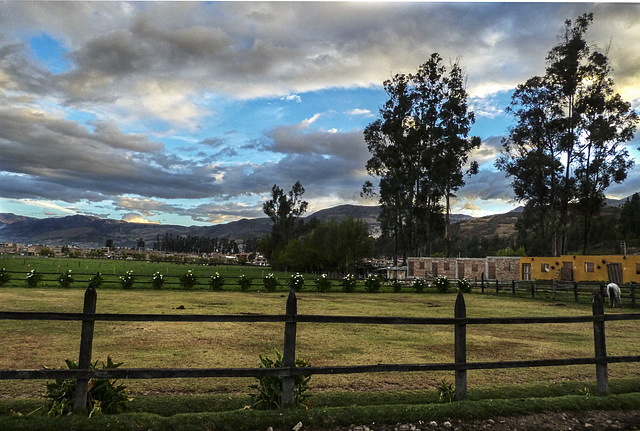 Los Alpes, farm, Cajamarca, HFF