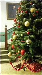 National Christmas tree