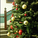 National Christmas tree