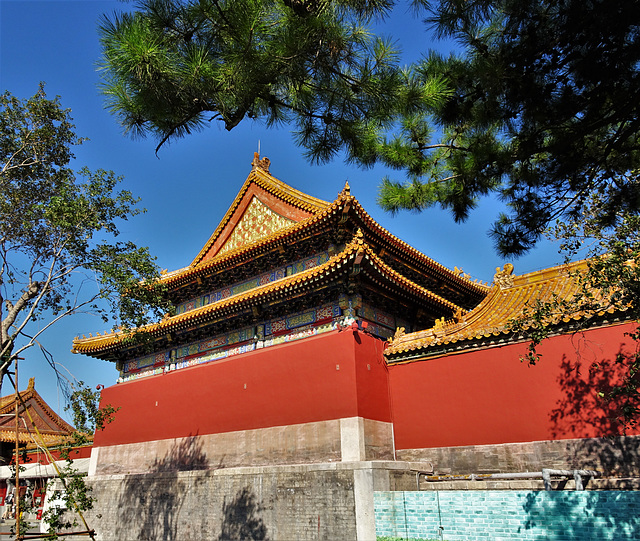 Forbidden City_24