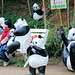 Pandatreffen am Bambuswald (PiP)