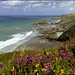 More Cornish coast.