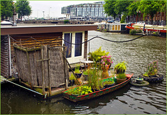 Amsterdam : casa galleggiante con giardino
