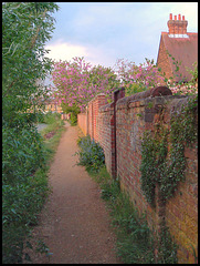 Thames Path at Cripley