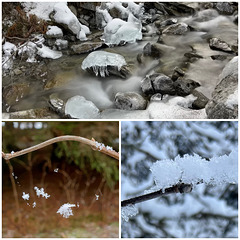 Winter Triptych.