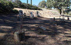 Banning cemetery (#0371)