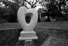 Cooley Grave (1)