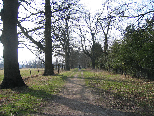 Footpath from Packwood House to Netherwood