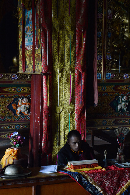 Kathmandu, Boudhanath, Buddhist Monk in the Guru Lhakhang Monastery