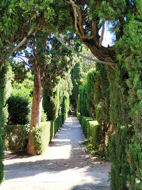 Valencia: jardines de Monforte, 16