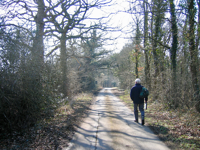 Lane leading to Big Spring Coppice