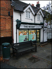 The Mount store