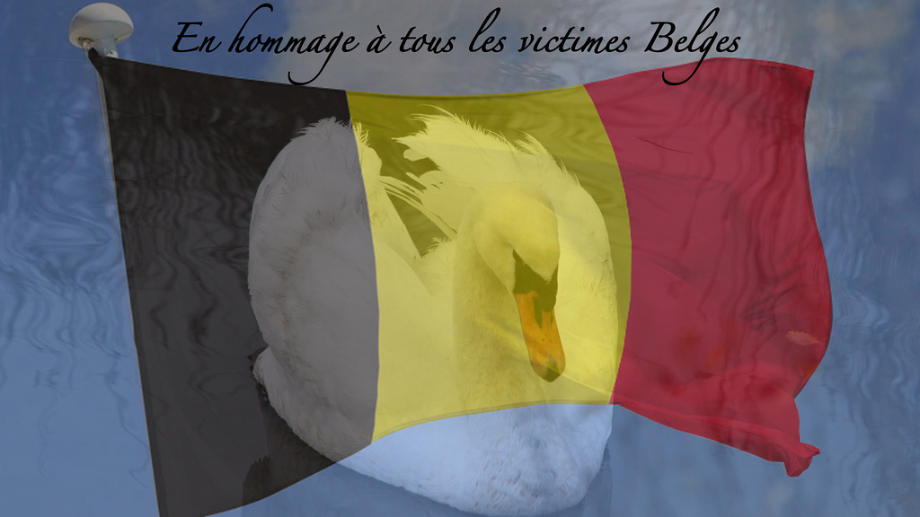 Pour tous nos amis Belges