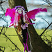 Wee Fairy with Pink Wings