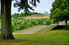Schloss Sanssouci - Castle Sanssouci