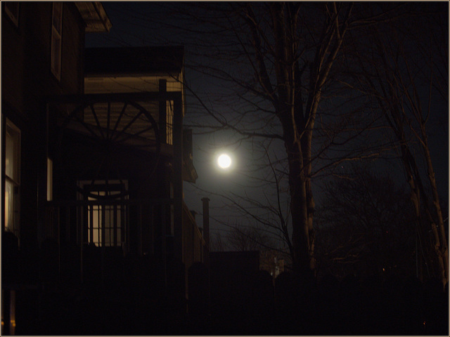 Just past full, the moon over neighbours' yards
