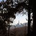 San Francisco Presidio View (3044)