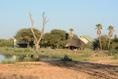 Namibia, Artificial Pond and Bungalows in the Camp of Elephant