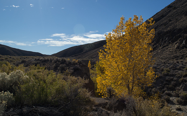 NV-722 Old US 50 (0777) NV-722 Old US 50 (0777)