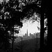 San Francisco Presidio View (3044A)
