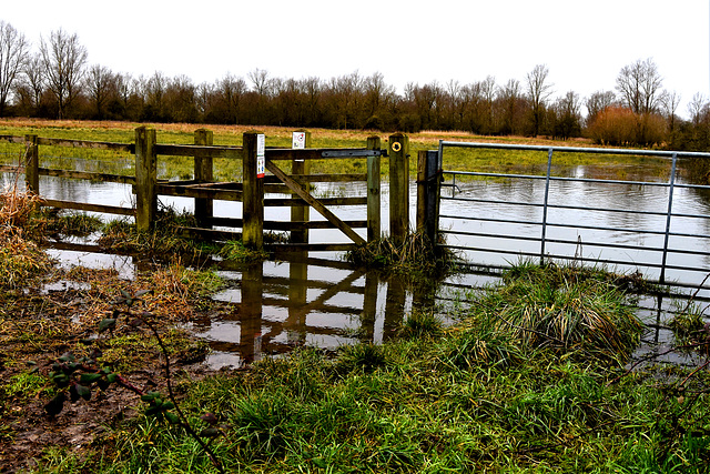 Flooded Fences