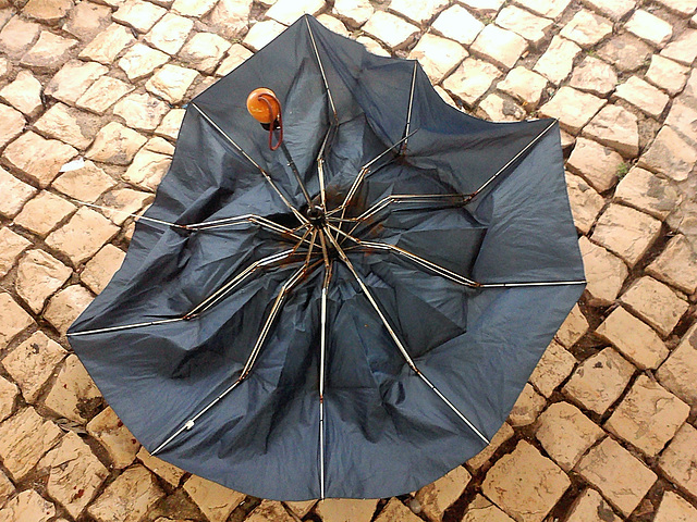 Look at what will happen to our umbrellas this weekend