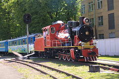 Der Zug fährt am Bahnhof Wyschenka ab