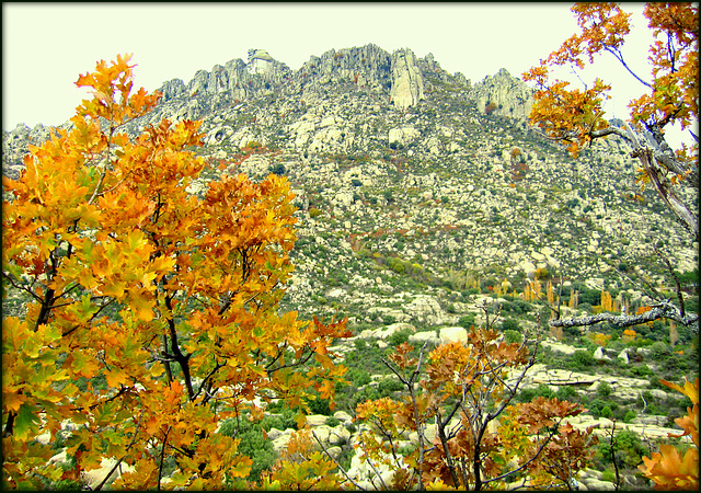 Autumn in La Sierra de La Cabrera