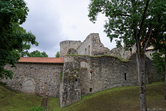 Burg Cēsis (© Buelipix)
