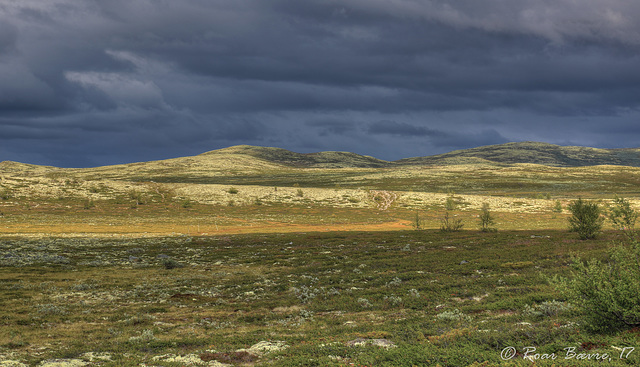Dagalifjell mountains.