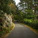 A single track road in Padarn country park2