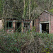 Cornwall - house in the woods