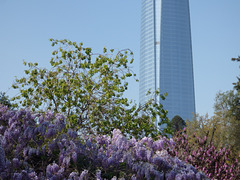 Torre Costanera