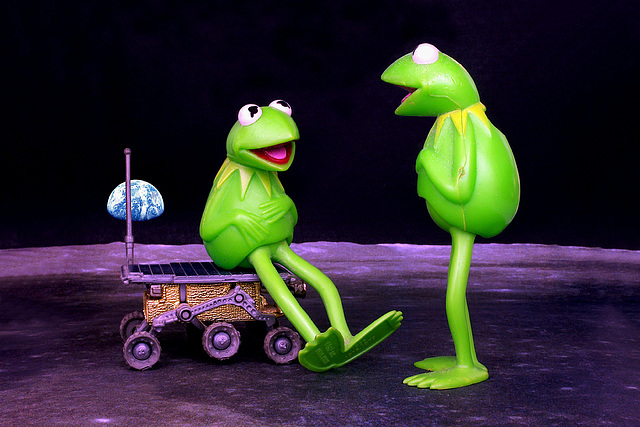 Frogs In Space