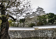 Castillo Himeji