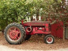 Old red tractor at the Saskatoon Farm