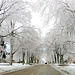 A city street after the ice storm